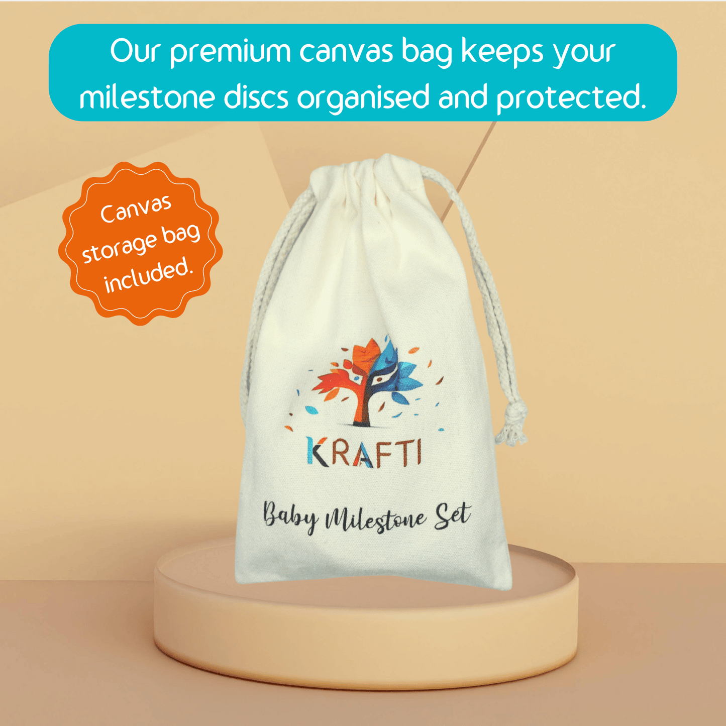 Baby Milestone Discs Set - Numbers