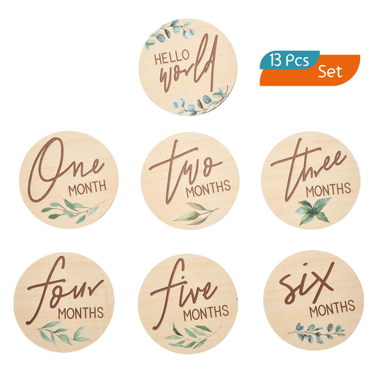 Baby Milestone Discs Set - Eucalyptus