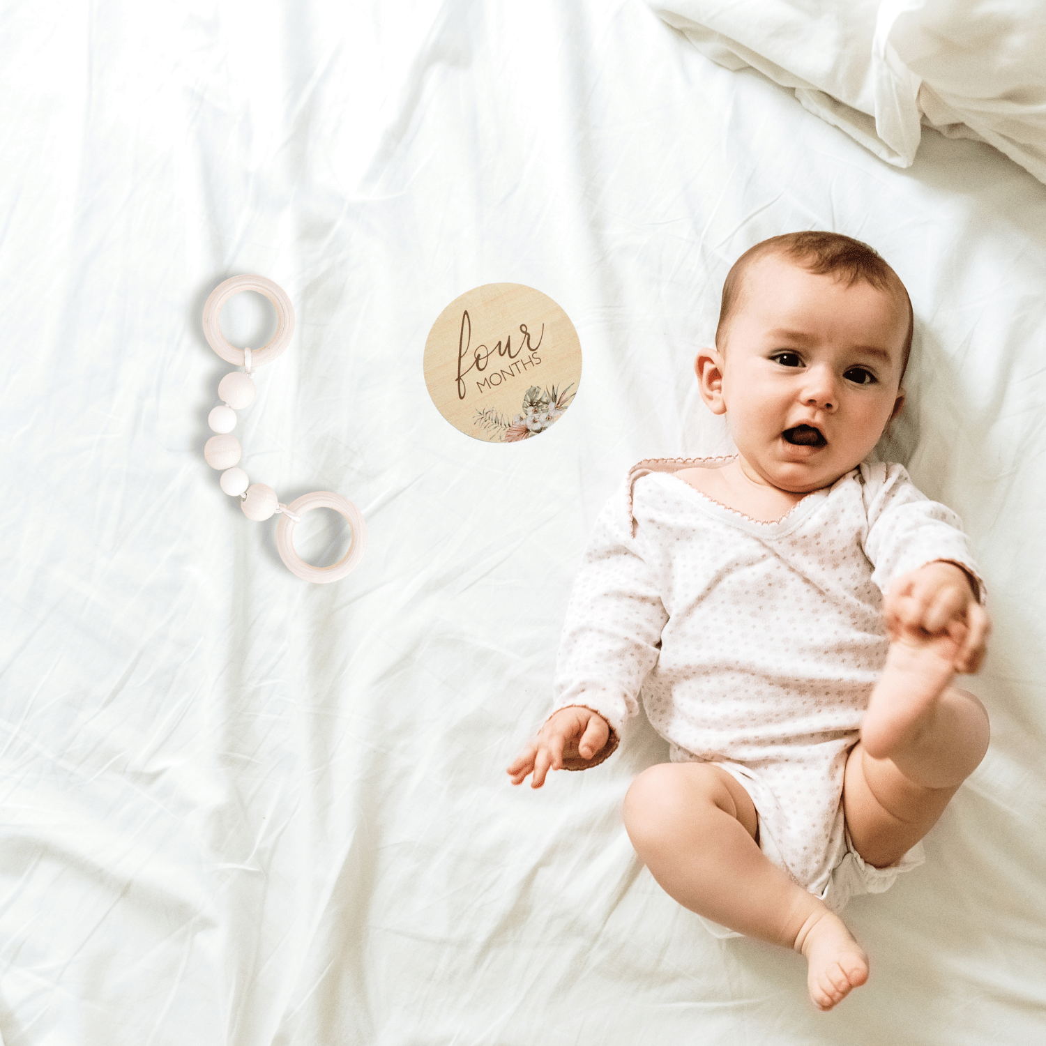Baby Milestone Discs Set - Garden
