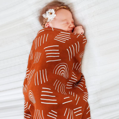 Little Lion's Comfort Hamper